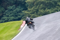 PJ-Motorsport-Photography-2020;anglesey;brands-hatch;cadwell-park;croft;donington-park;enduro-digital-images;event-digital-images;eventdigitalimages;mallory;no-limits;oulton-park;peter-wileman-photography;racing-digital-images;silverstone;snetterton;trackday-digital-images;trackday-photos;vmcc-banbury-run;welsh-2-day-enduro